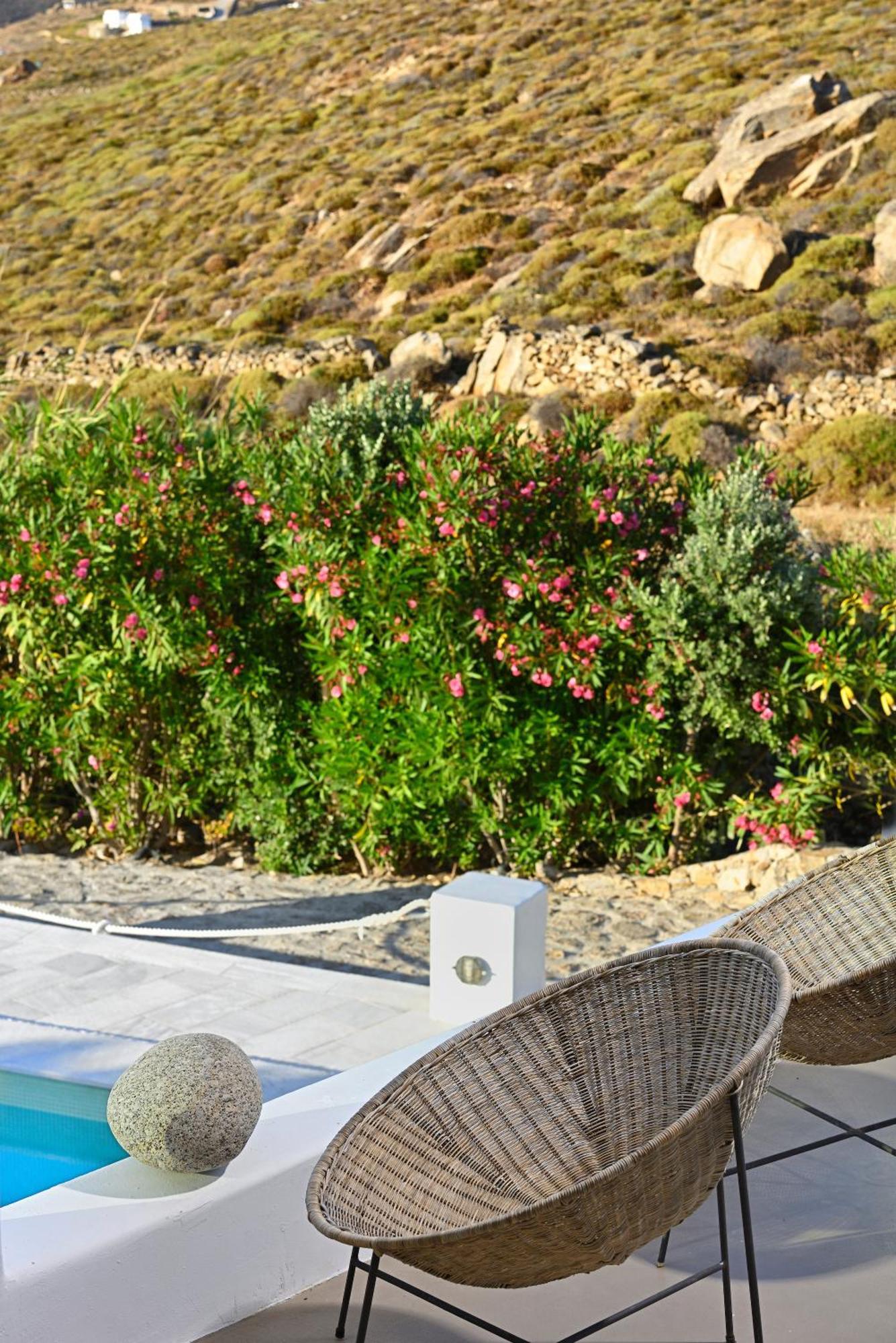 Mykonos Dream Villas Ftelia  Exterior foto